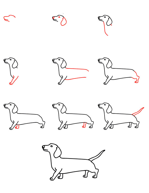 Как нарисовать собаку легко и просто для детей с 5 до 10 лет