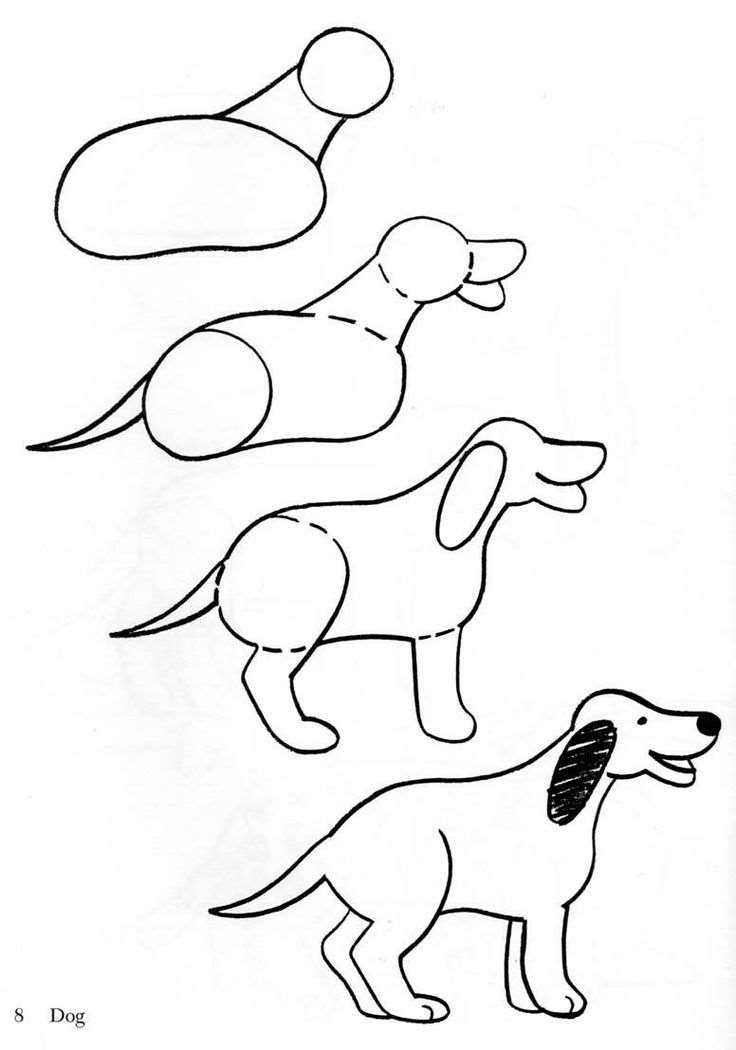 Как простым карандашом нарисовать очаровательную собаку