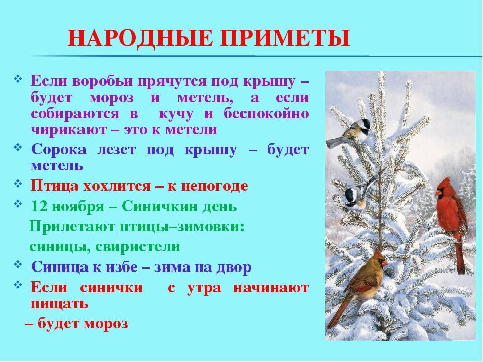 Как связать кардиган спицами: схемы и описания для начинающих