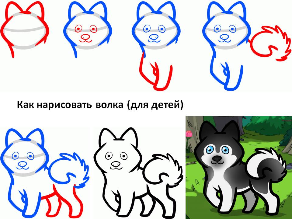 Как нарисовать волка? пошаговый мастер-класс :: syl.ru