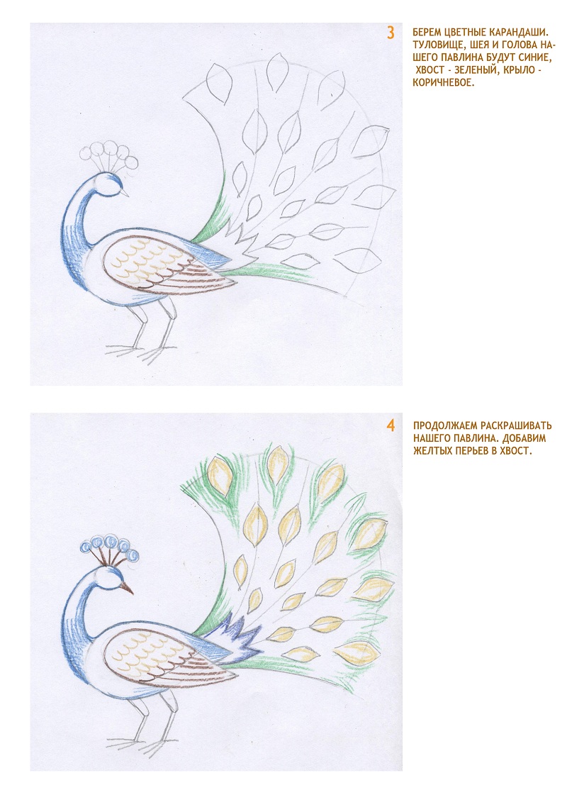 Как рисовать, как художник? пошаговая инструкция, поэтапное описание рисунка и рекомендации :: syl.ru