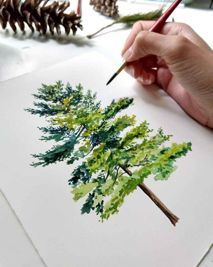 Рисование разных деревьев просто, изящно и красиво Поэтапные мастер-классы по рисованию дуба, сосны, клена карандашом, красками, гуашью своими руками