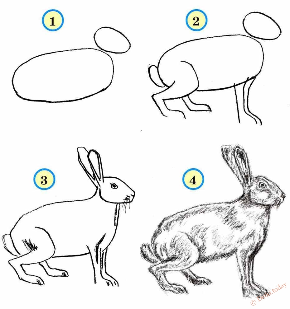 Как нарисовать зайца легко и просто — megamaster.info