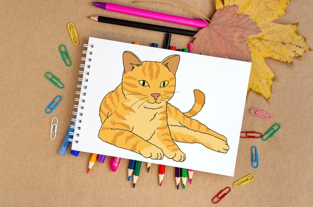 Как нарисовать кошку легко и красиво (106 фото): поэтапные инструкции для детей и начинающих