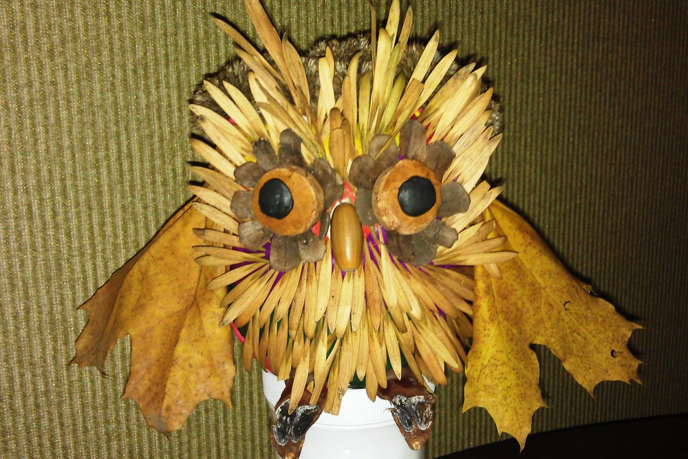 Поделка сова из листьев, бумаги, шишек, природного материала - 81 фото идея