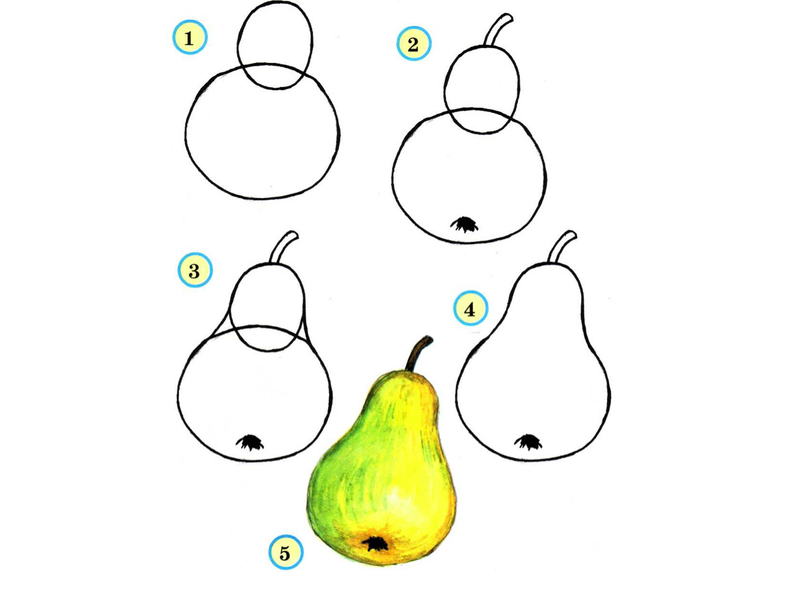 Рисования фруктов неотъемлемая часть натюрмортов Подробные пошаговые инструкции по рисованию фруктов карандашом