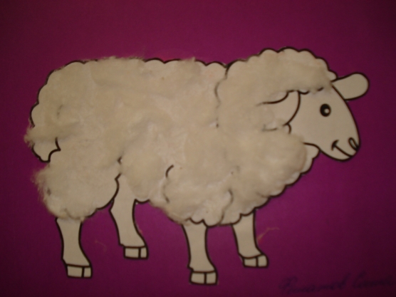 Конспект занятия по аппликации из ваты барашек. «овечка»: аппликация из разных материалов. овечка из ватных дисков