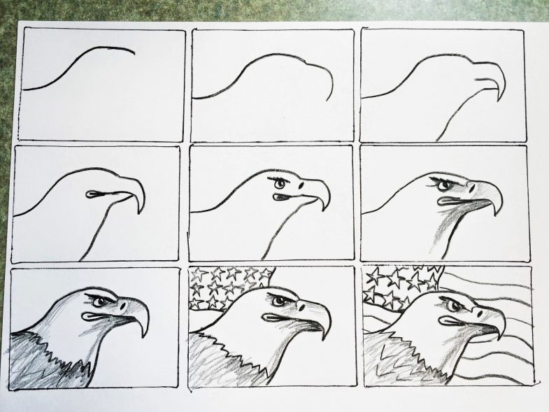 Как нарисовать птицу: поэтапное описание и советы как быстро и просто нарисовать птицу (125 фото)