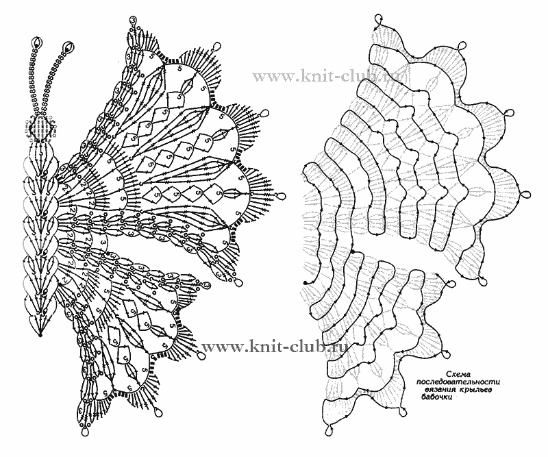 Бабочка крючком схема