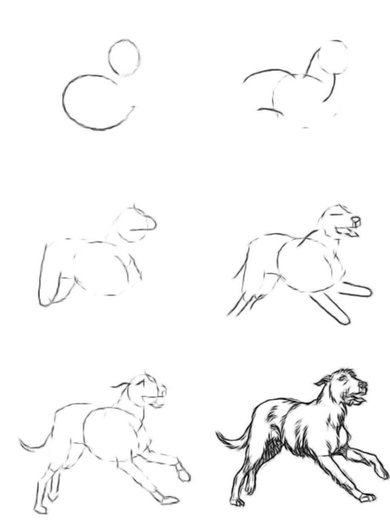 Пошаговый рисунок собаки