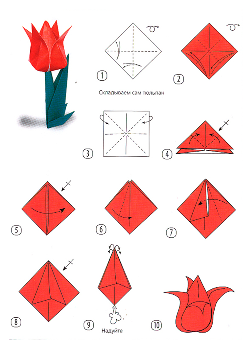 Поделка кошка оригами по простой схеме с пояснениями и фото: пошаговая инструкция для начинающих Поэтапный сбор фигурок и варианты презентации