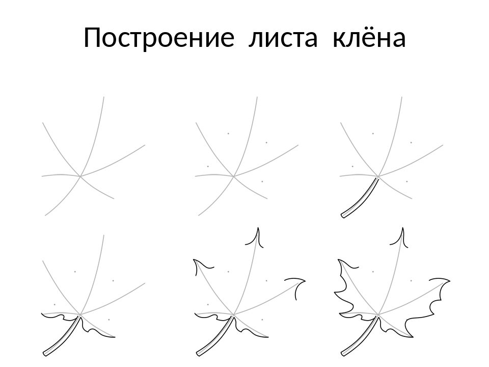 Рисуем листья поэтапно