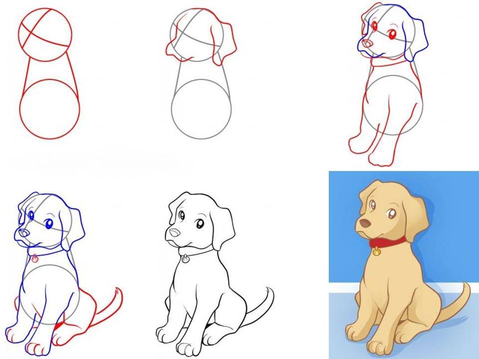 Как нарисовать собаку - поэтапное создание рисунка собаки для детей и взрослых (130 фото)