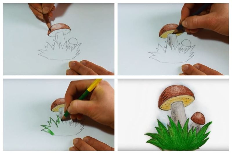 Уроки рисования карандашом для начинающих поэтапно: основные правила рисования карандашом, и видео мастер-классы для тех, кто хочет научиться хорошо рисовать карандашом с нуля