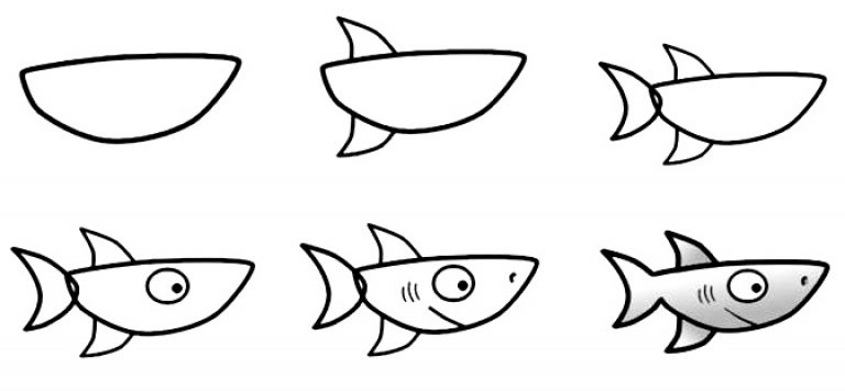 Как нарисовать акулу карандашом — 5 поэтапных мастер-класса с фото идеями и примерами