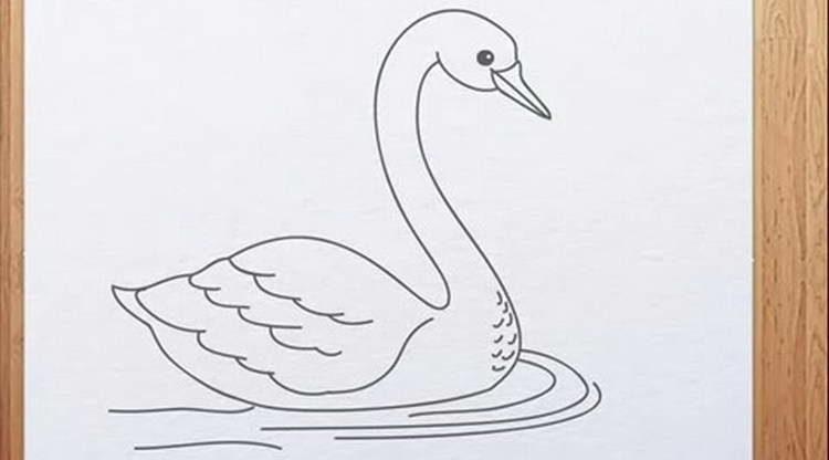 Как нарисовать лебедя поэтапно карандашом (56 фото) - легкие мастер-классы по рисованию лебедя