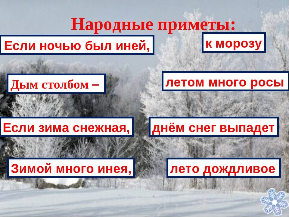 Как связать кардиган спицами – схемы вязания и обзор лучших женских и мужских моделей этого сезона (115 фото + видео)