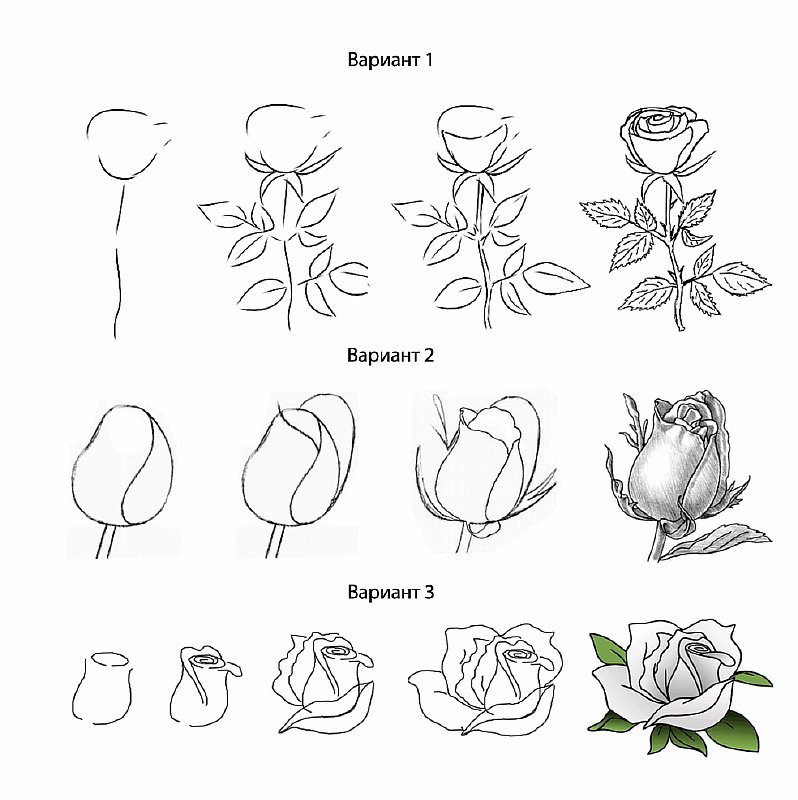 Как нарисовать кружку, вазу или тарелку без ошибок