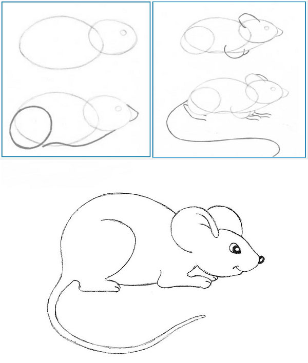 Как нарисовать мышку карандашом поэтапно легко и красиво