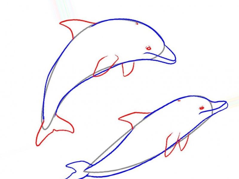 Как нарисовать дельфина поэтапно для детей? как нарисовать дельфина поэтапно карандашом? как нарисовать дельфина в море: рисунки для детей